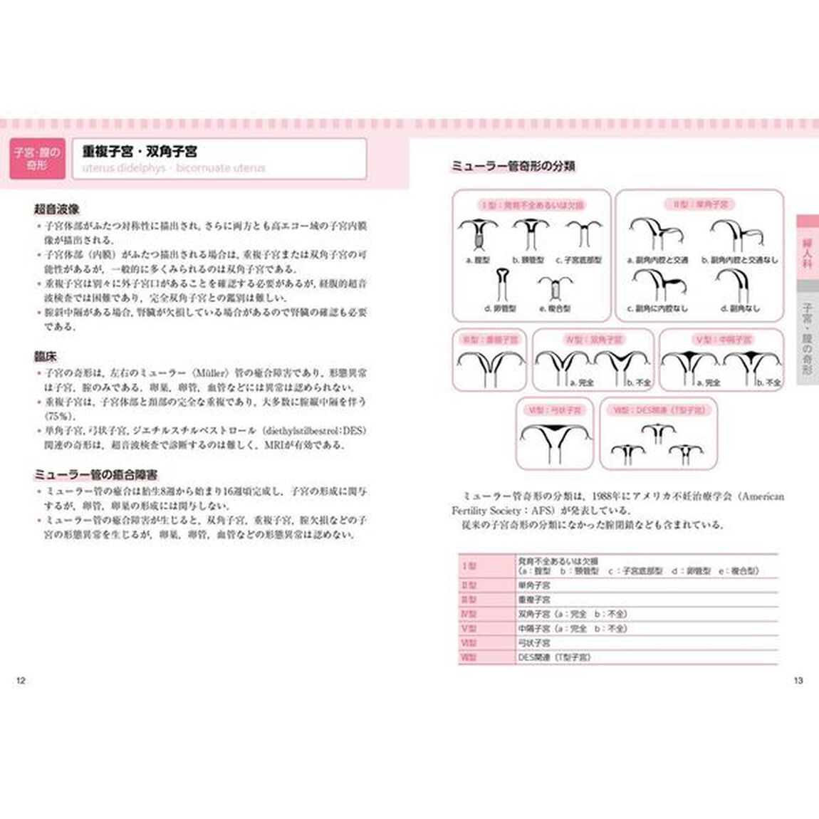 産婦人科アトラス「新装改訂版」
