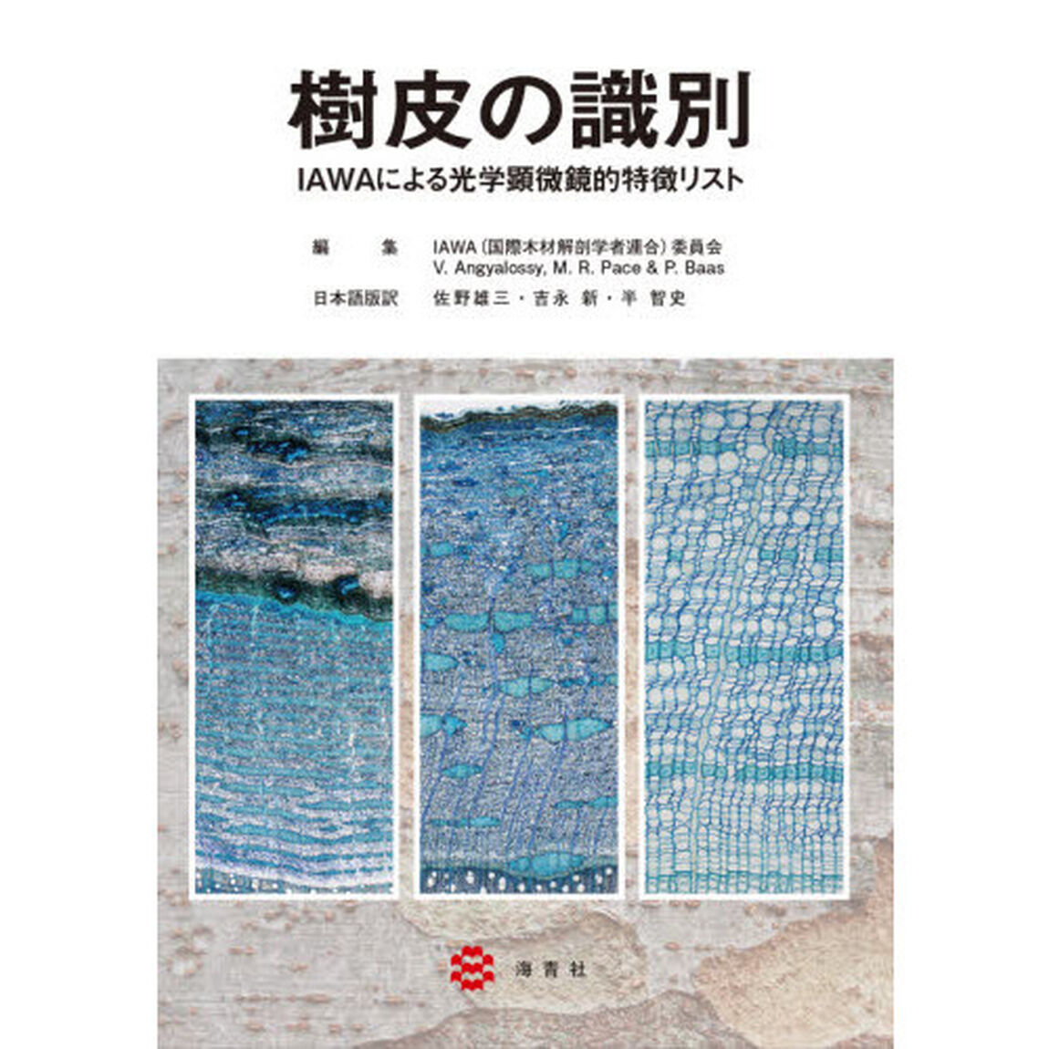 樹皮の識別　ＩＡＷＡによる光学顕微鏡的特徴リスト
