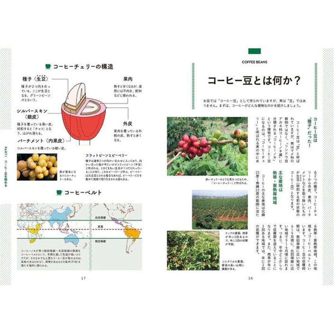 極める愉しむ珈琲事典