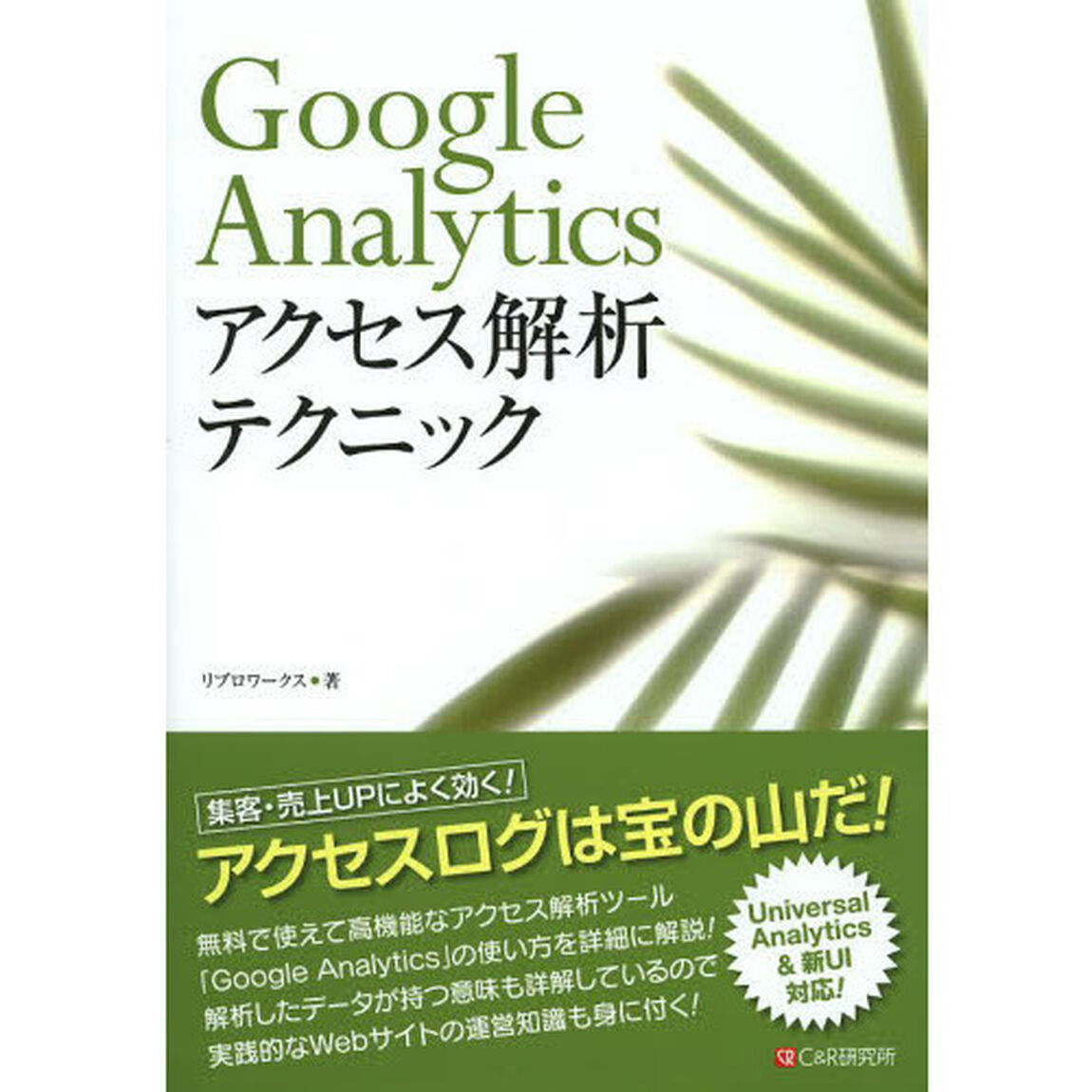 Ｇｏｏｇｌｅ　Ａｎａｌｙｔｉｃｓアクセス解析テクニック