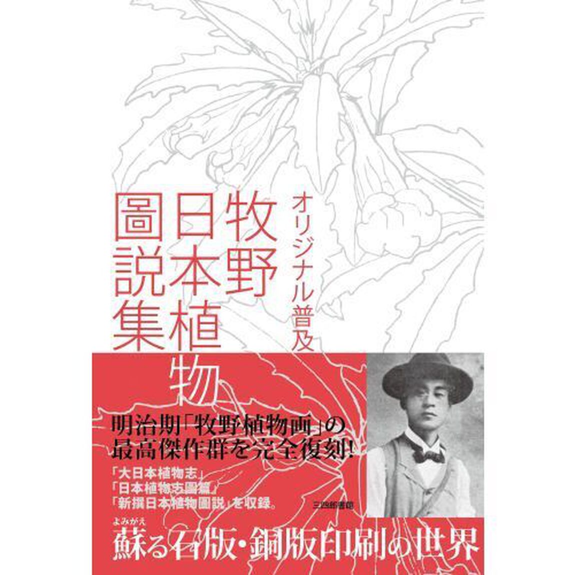 牧野日本植物圖説集　オリジナル普及版