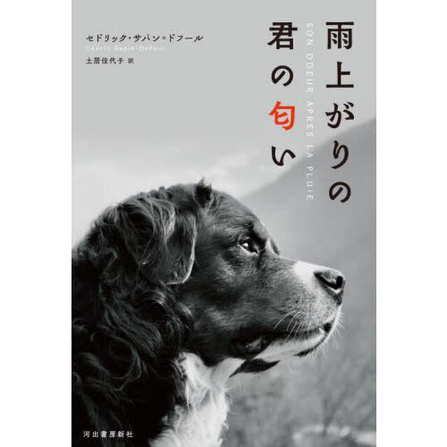 雨上がりの君の匂い