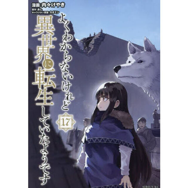 よくわからないけれど異世界に転生していたようです 17