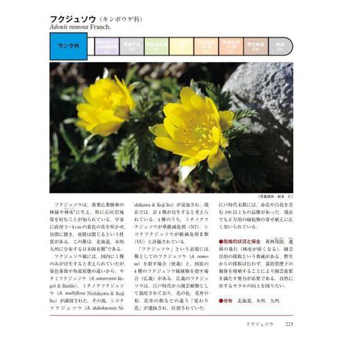 日本の絶滅危惧生物図鑑　環境省レッドリスト