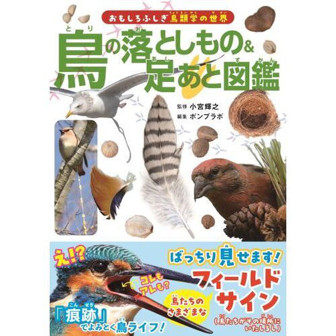 鳥の落としもの＆足あと図鑑