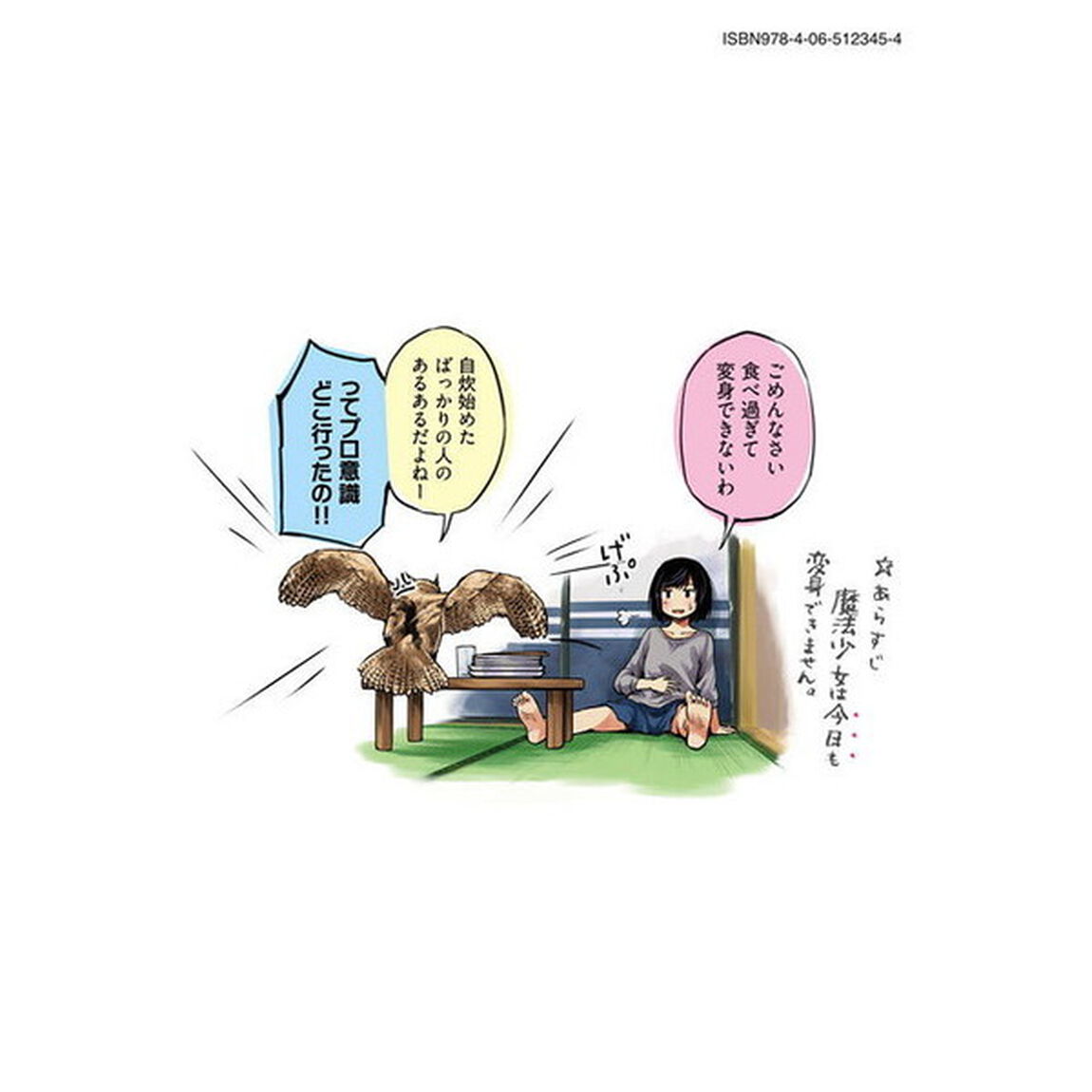 魔法少女になれません。　１