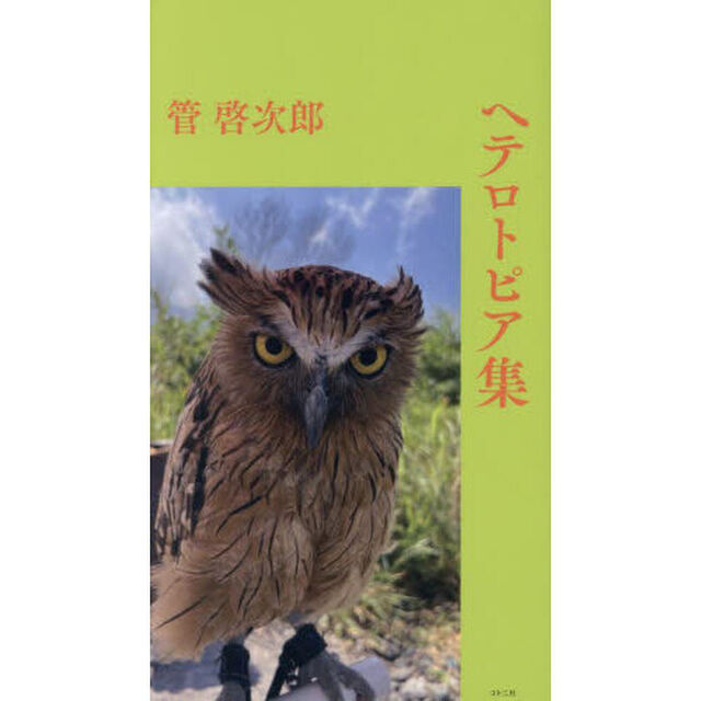ヘテロトピア集
