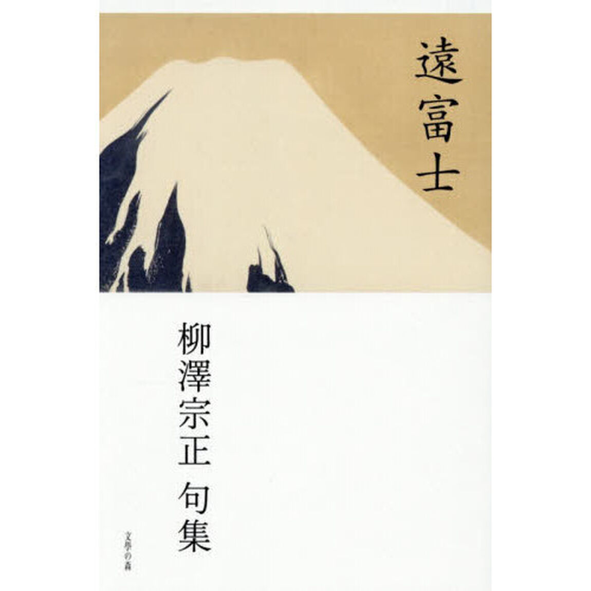 遠富士　柳澤宗正句集