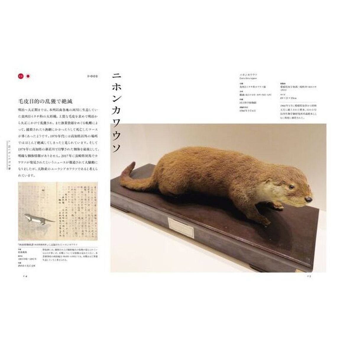 〈標本〉の発見　科博コレクションから