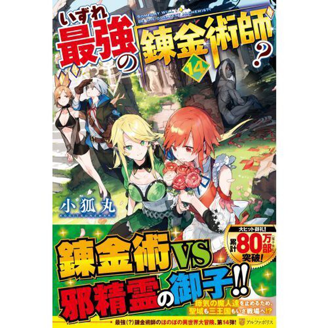 いずれ最強の錬金術師？　１４