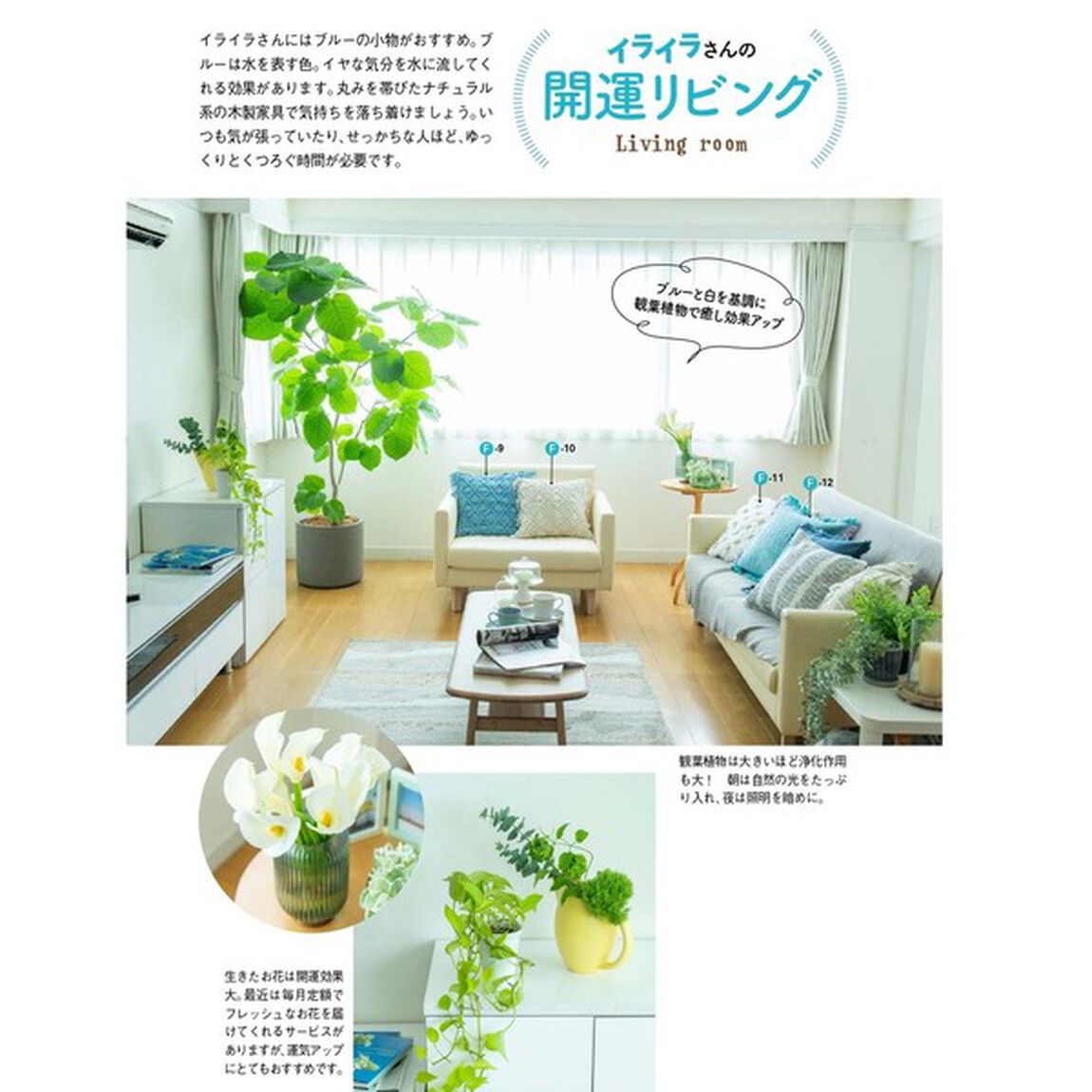 とにかく「運のいい家」に住みたい！