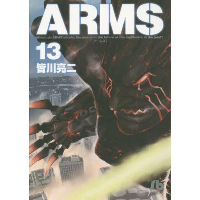 ＡＲＭＳ　１３