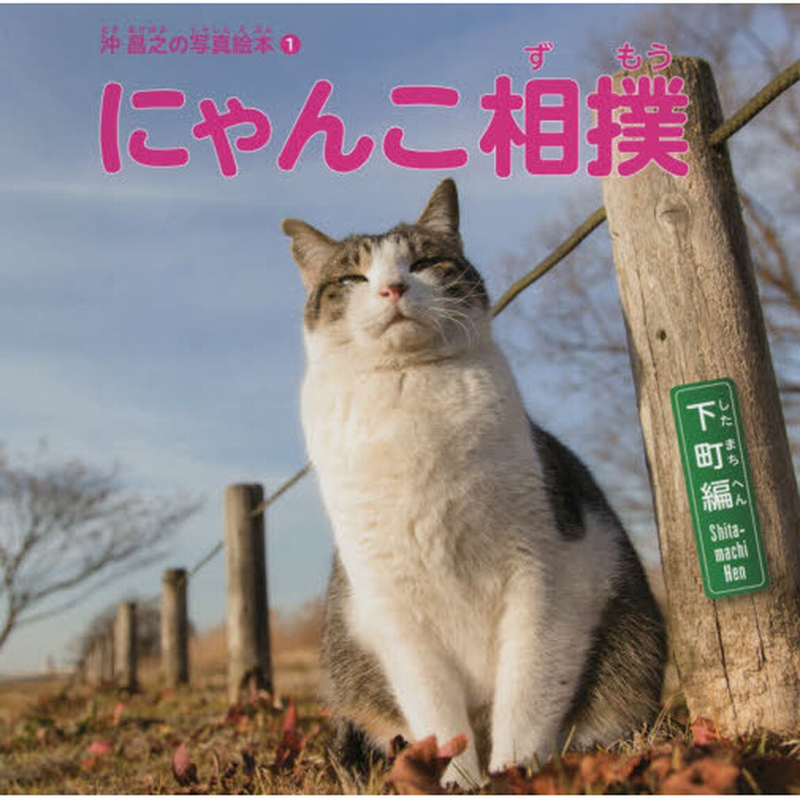 にゃんこ相撲　下町編