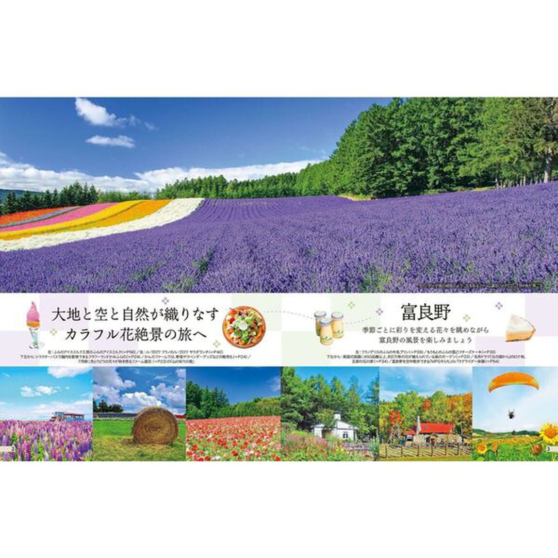 富良野　美瑛　札幌　旭山動物園　〔２０２５〕