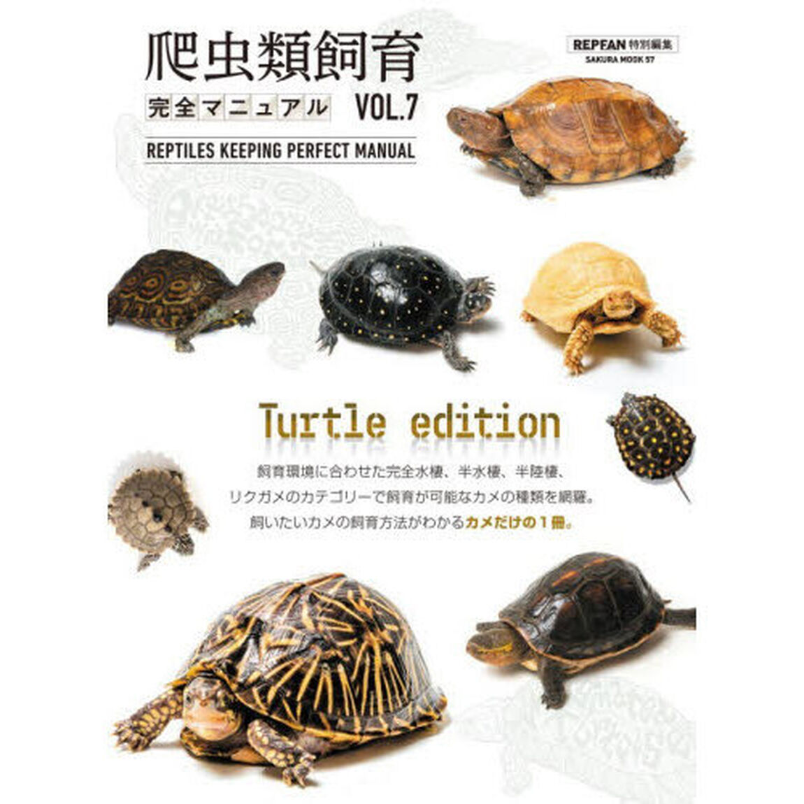 爬虫類飼育完全マニュアル　ＶＯＬ．７「Ｔｕｒｔｌｅ　ｅｄｉｔｉｏｎ」