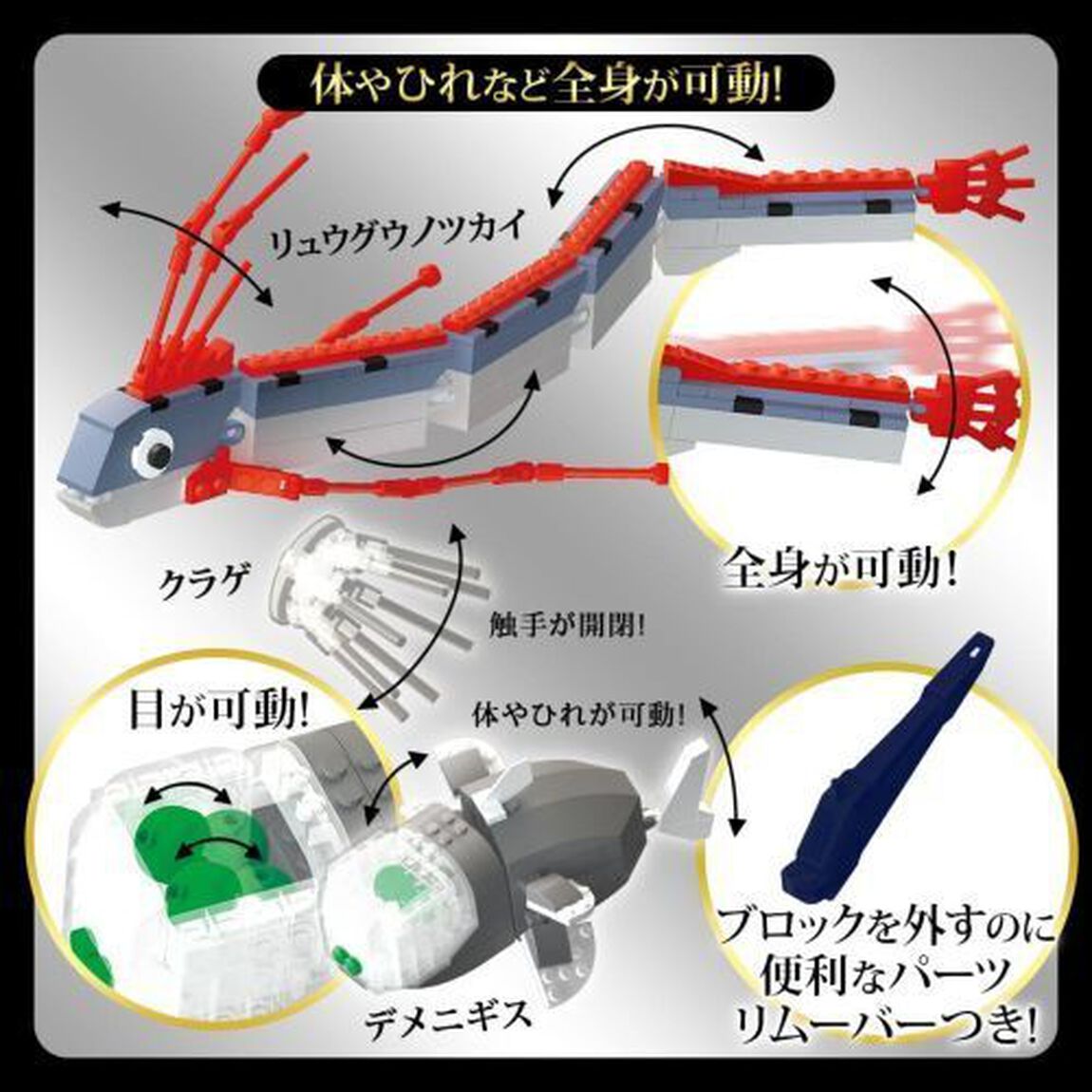 リュウグウノツカイ＆デメニギス