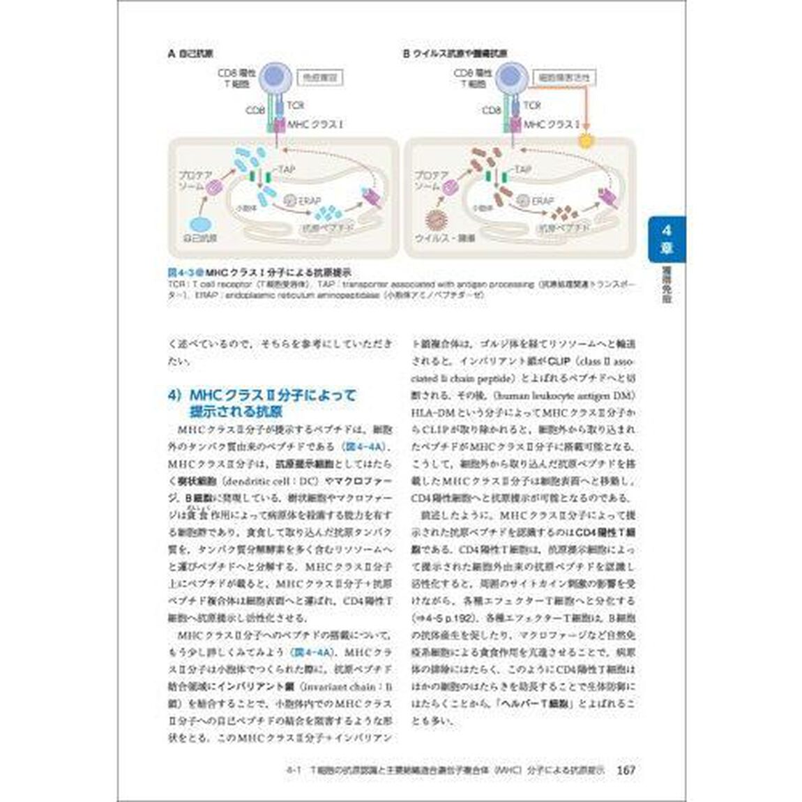 基礎から学ぶ免疫学