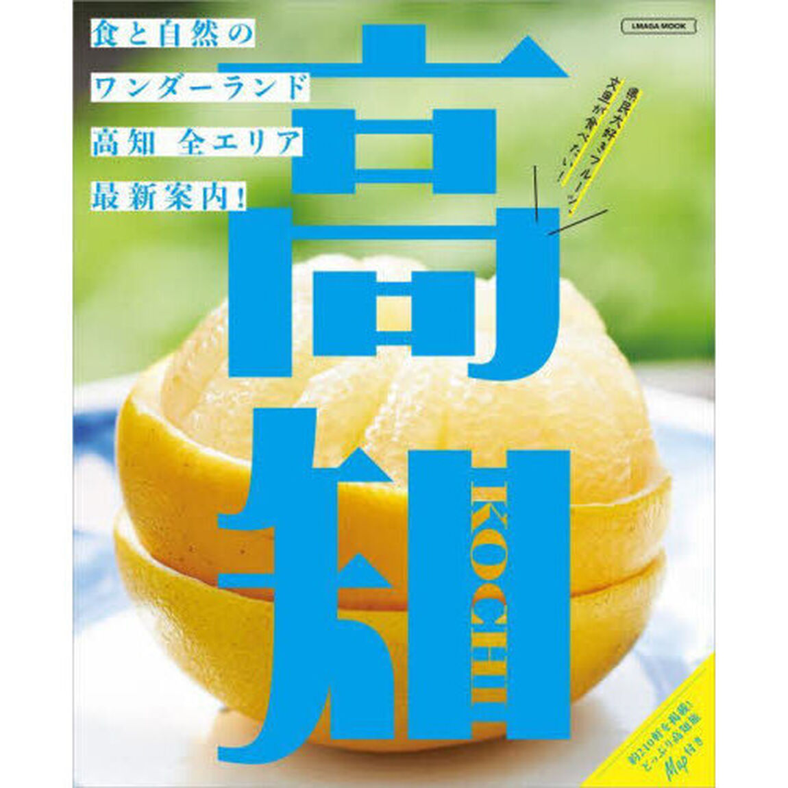 高知　〔２０２４〕