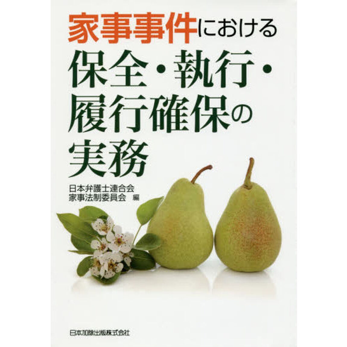 家事事件における保全・執行・履行確保の実務