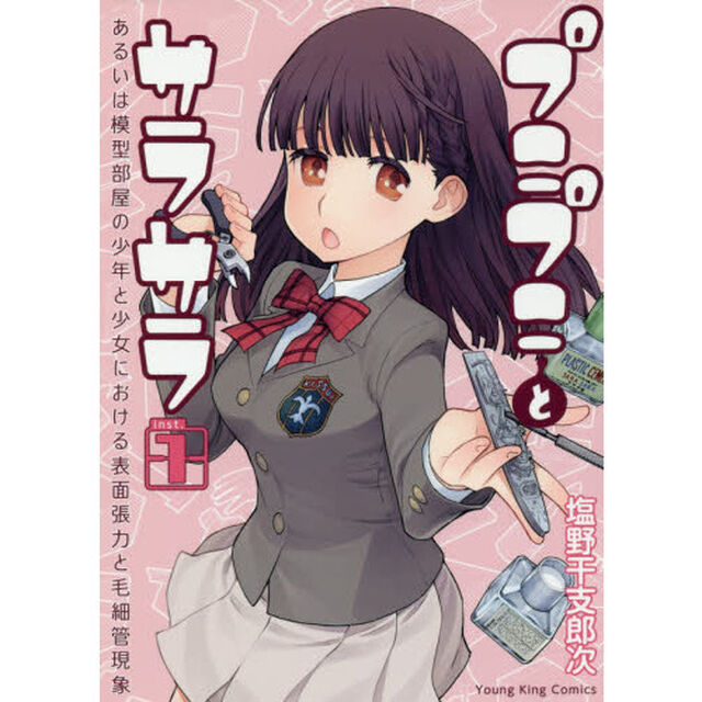 プニプニとサラサラ　あるいは模型部屋の少年と少女における表面張力と毛細管現象　１