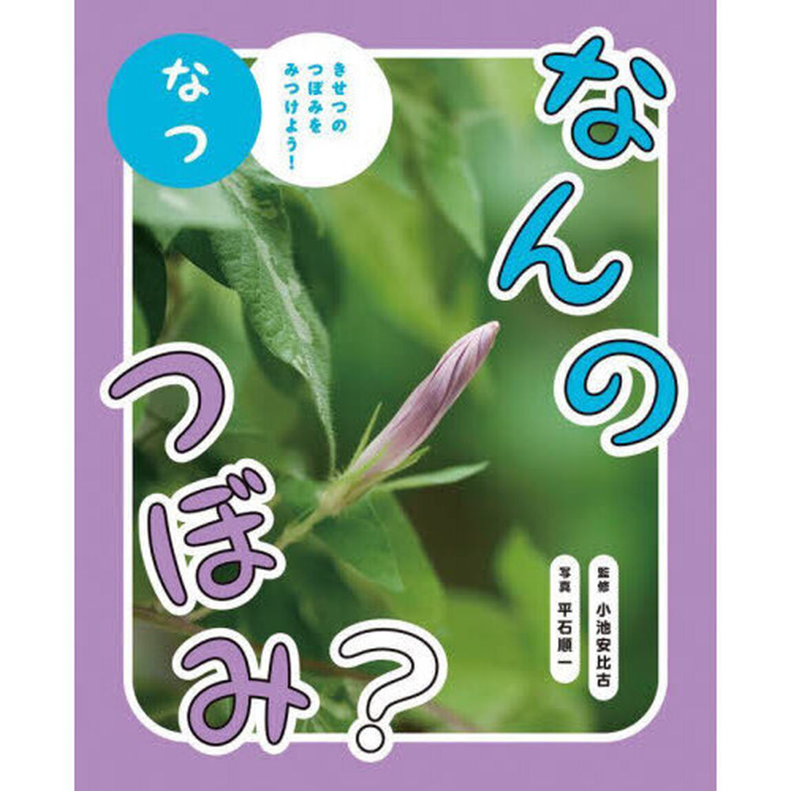 なんのつぼみ？　きせつのつぼみをみつけよう！　なつ