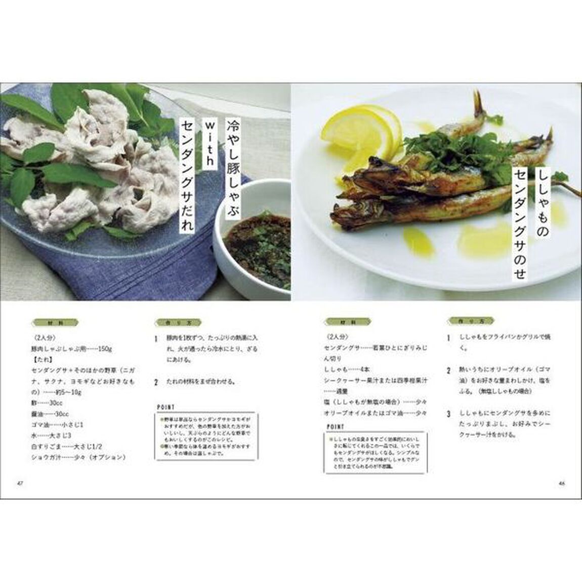 野草がおいしい　おきなわ野の薬草基本料理レシピ