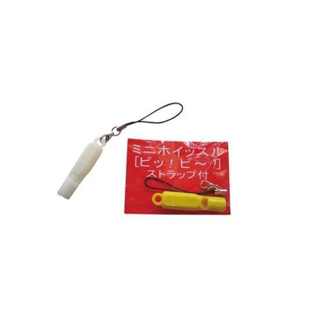 いつ大災害が起きても家族で生き延びる　ホイッスル特典付き
