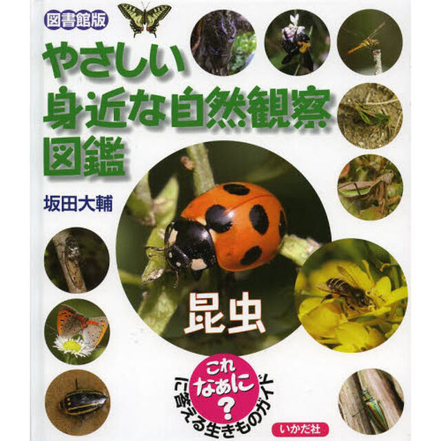 やさしい身近な自然観察図鑑　これなあに？に答える生きものガイド　昆虫　図書館版