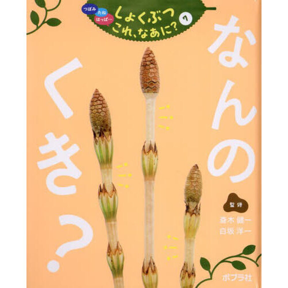 つぼみ　たね　はっぱ&hellip;しょくぶつこれ、なあに？　７「なんのくき？」