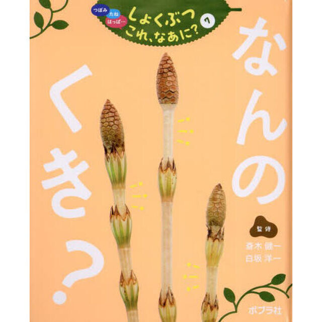つぼみ　たね　はっぱ&hellip;しょくぶつこれ、なあに？　７「なんのくき？」