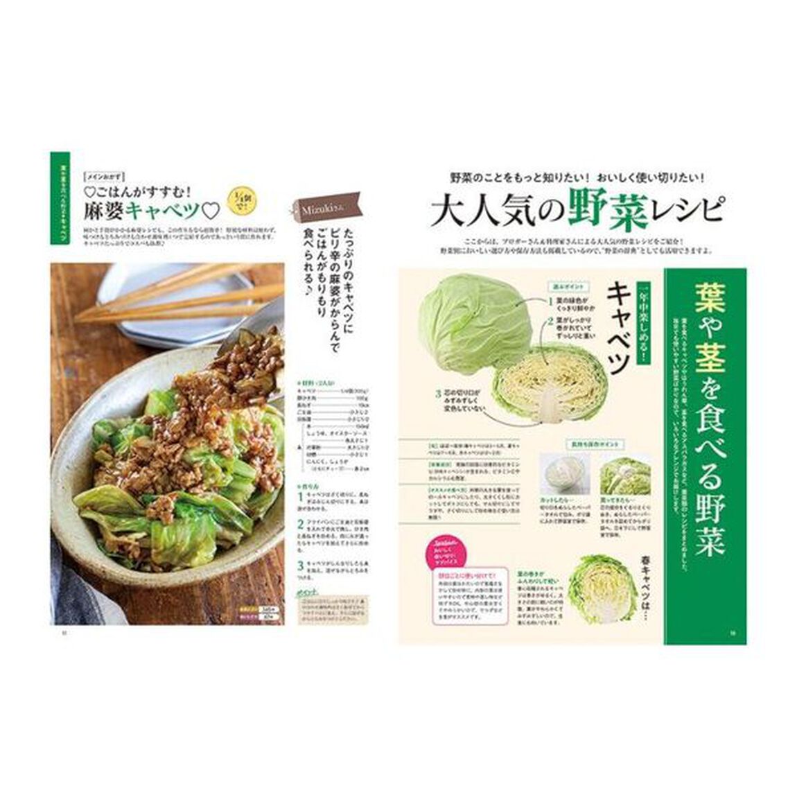 レシピブログのおいしい野菜おかずＢＥＳＴ１００　栄養たっぷり！旬の野菜をおいしく味わう！