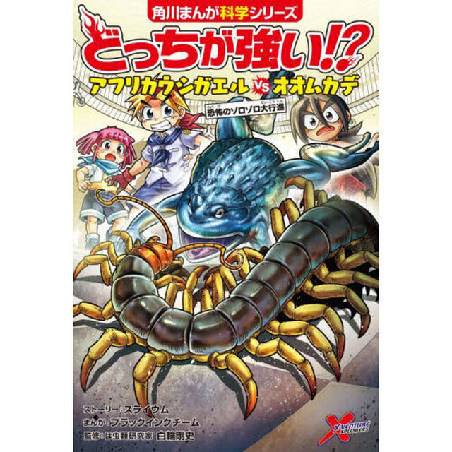 どっちが強い！？アフリカウシガエルＶＳ（たい）オオムカデ　恐怖のゾロゾロ大行進