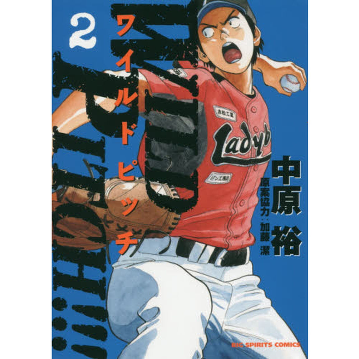 ＷＩＬＤ　ＰＩＴＣＨ！！！　２