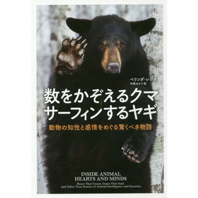 数をかぞえるクマ　サーフィンするヤギ　動物の知性と感情をめぐる驚くべき物語