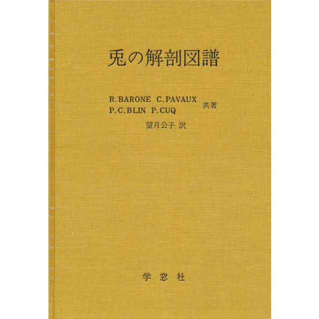 兎の解剖図譜