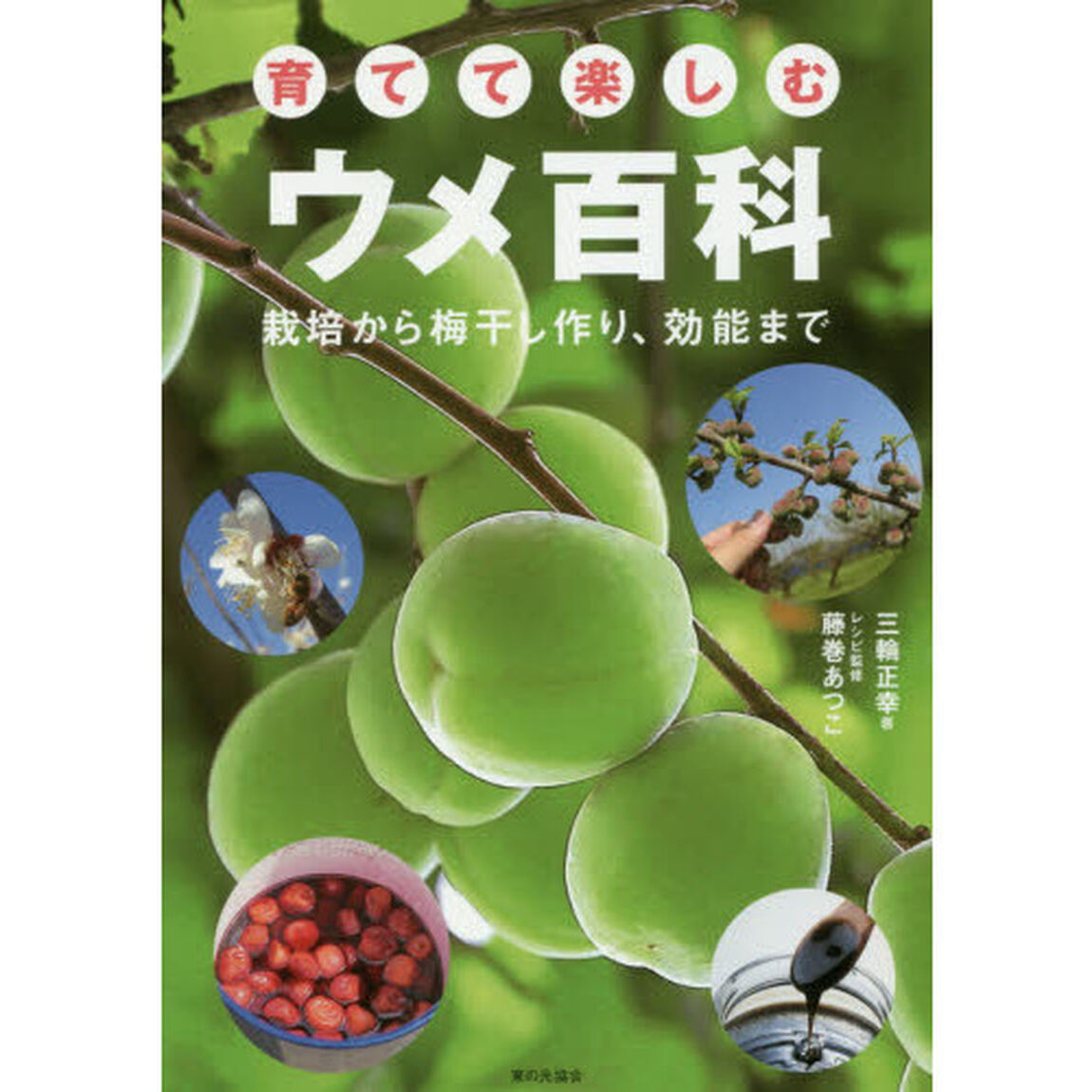 育てて楽しむウメ百科　栽培から梅干し作り、効能まで