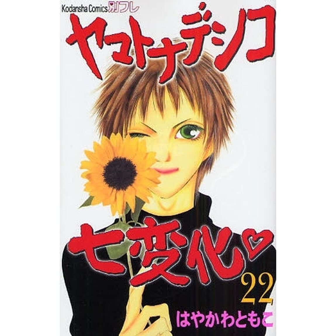 ヤマトナデシコ七変化　　２２