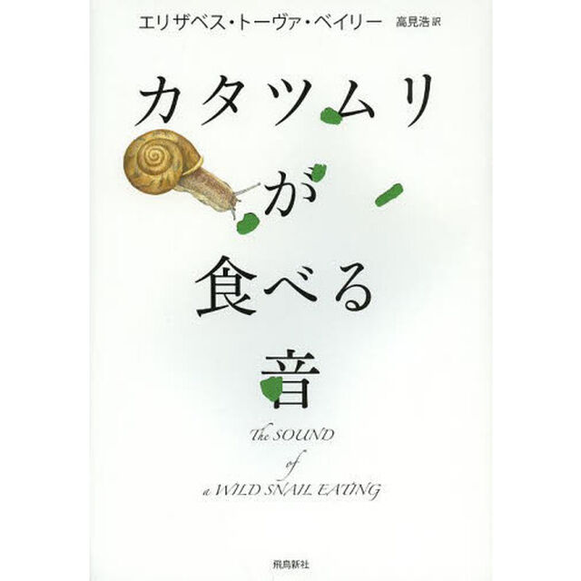 カタツムリが食べる音