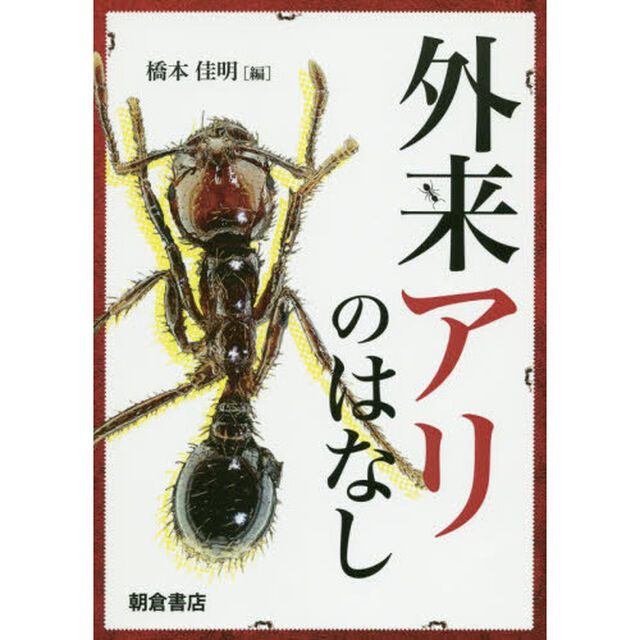 外来アリのはなし