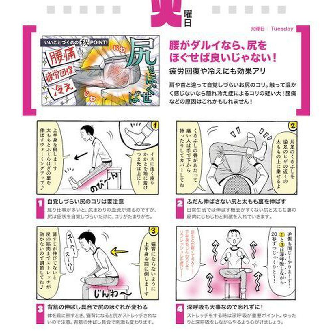 卓上版 曜日めくり すごいストレッチ