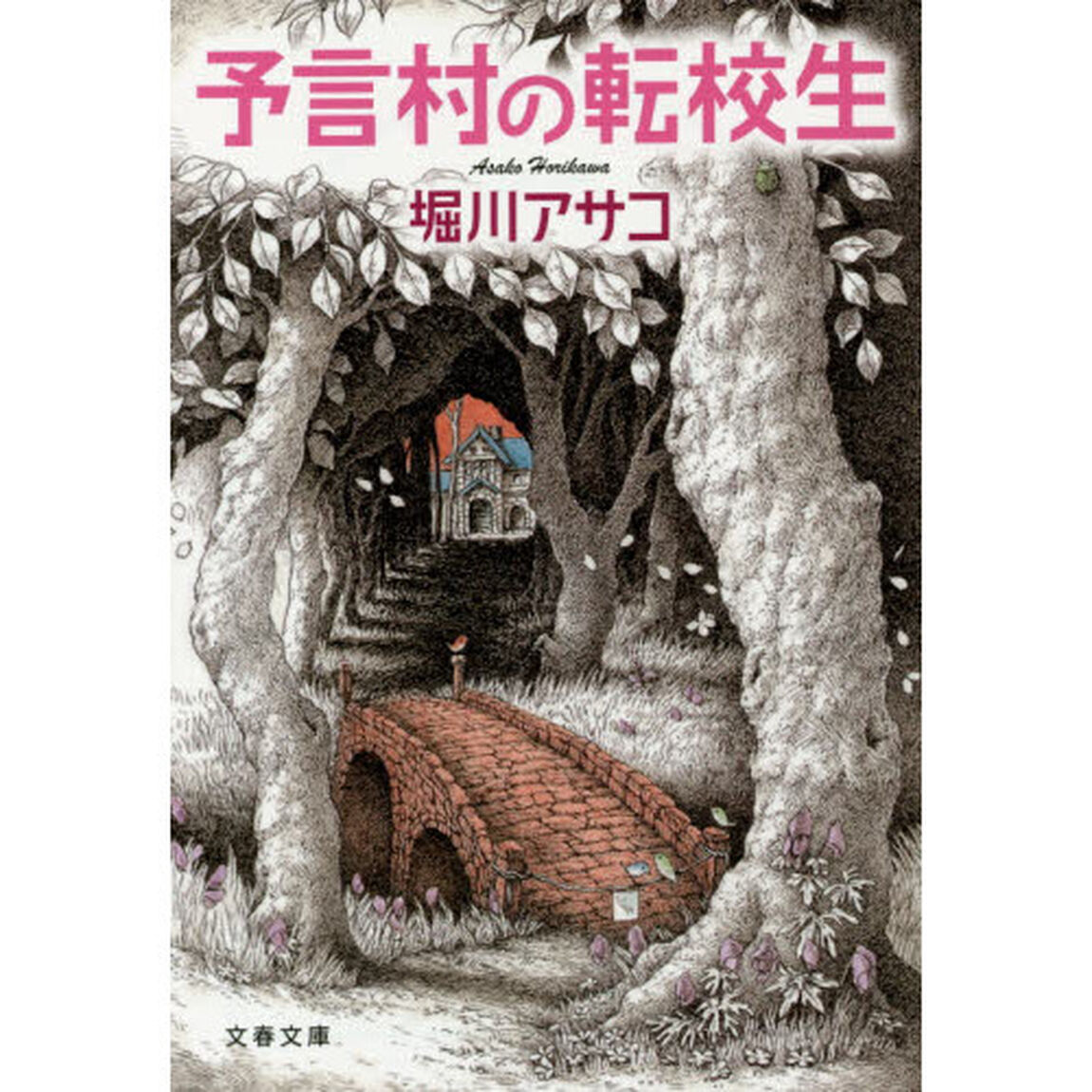 予言村の転校生