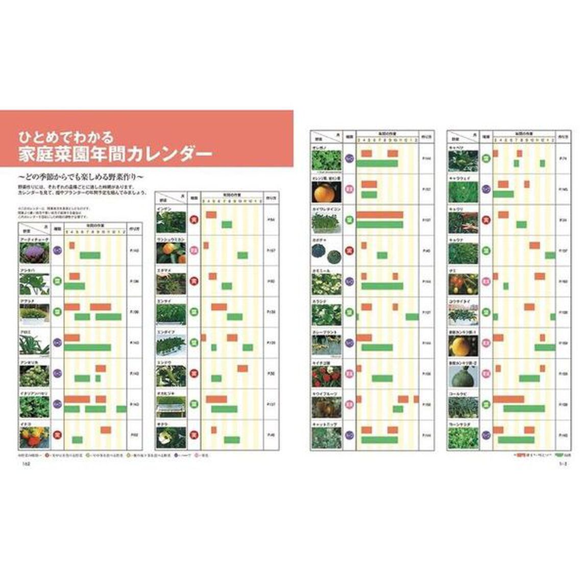 野菜作り百科　1年中楽しめる家庭菜園「新装版」