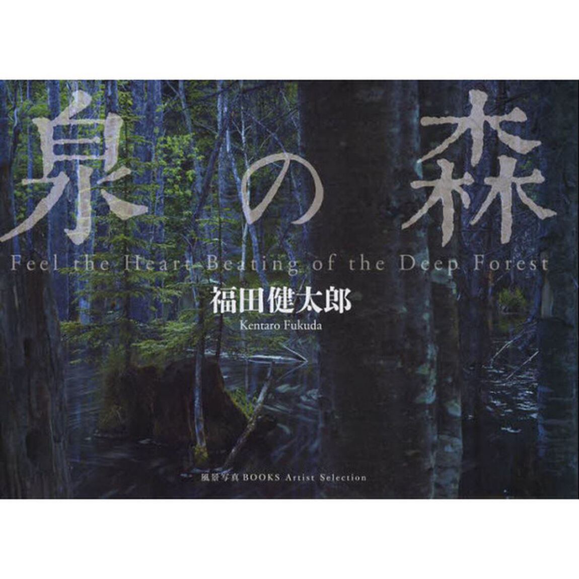 泉の森