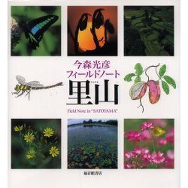 今森光彦フィールドノート里山