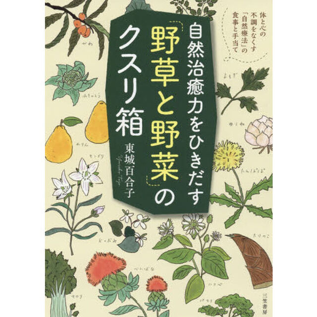自然治癒力をひきだす「野草と野菜」のクスリ箱
