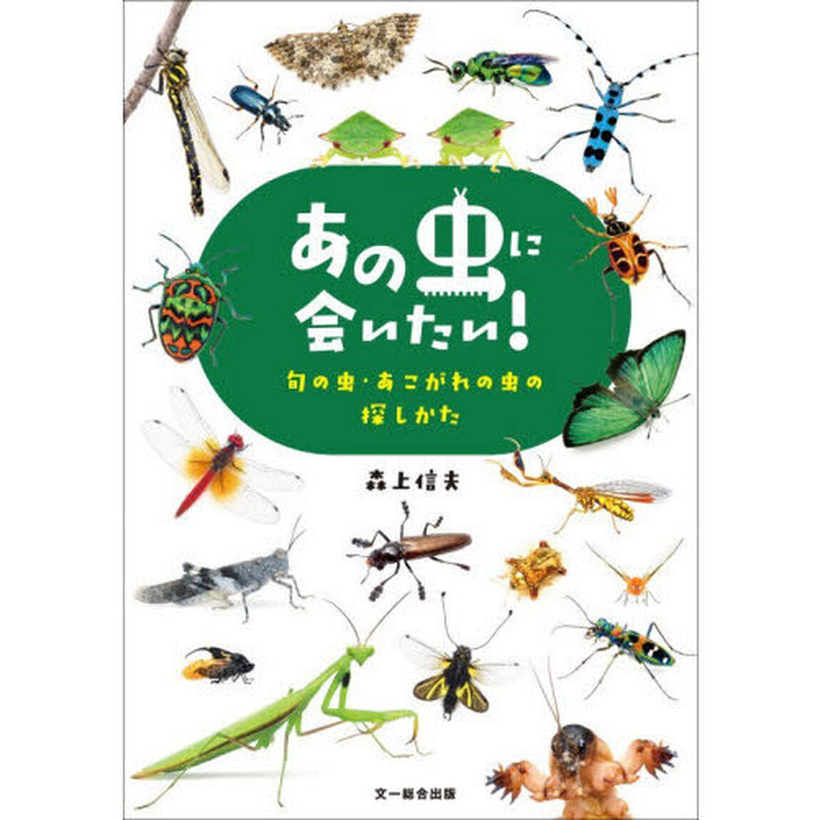 あの虫に会いたい！旬の虫・あこがれの虫の探しかた