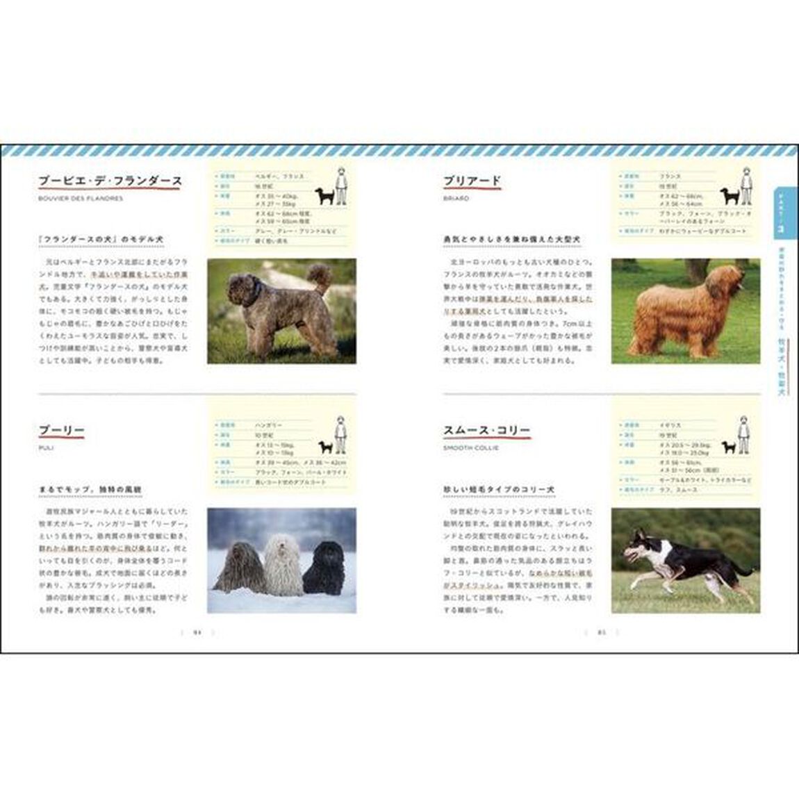 日本と世界の犬種図鑑　ルーツと特性を知ればもっと好きになる