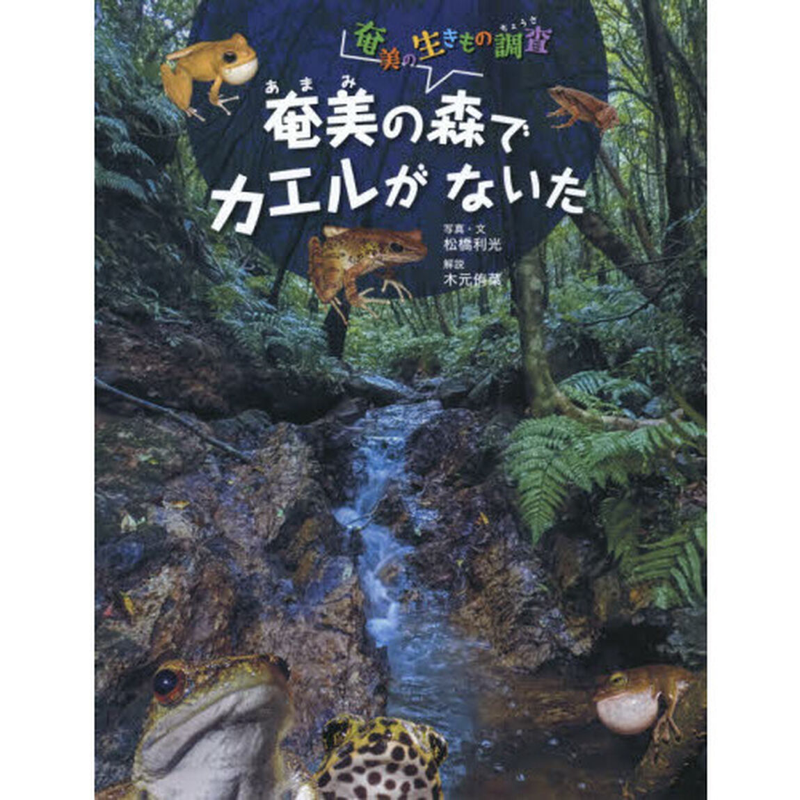 奄美の森でカエルがないた