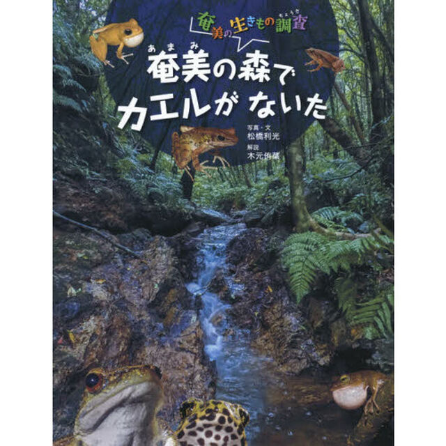 奄美の森でカエルがないた