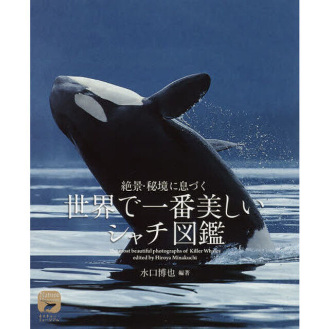 絶景・秘境に息づく世界で一番美しいシャチ図鑑